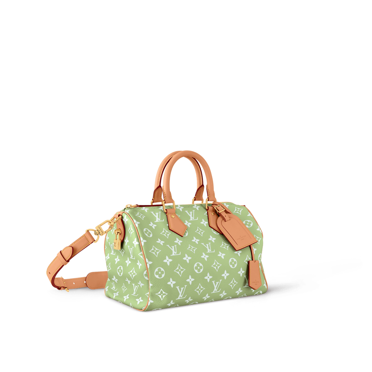 Louis Vuitton M14064 SPEEDY P9 BANDOULIÈRE 30 BAG