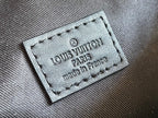 Louis Vuitton M46035 Discovery Bumbag PM