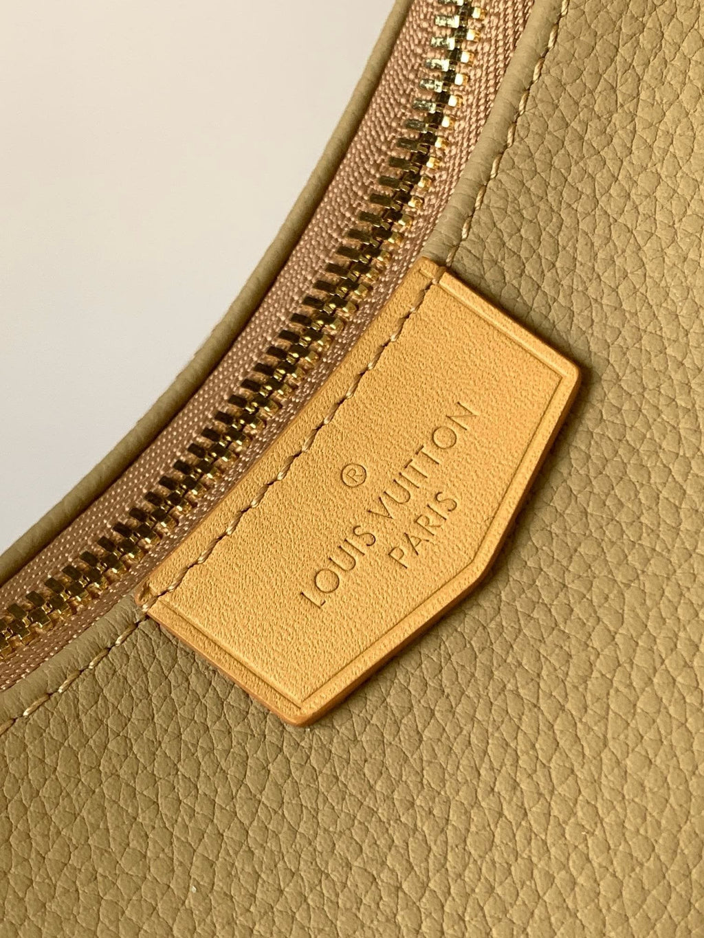 Louis Vuitton M12697 Hobo Cargo