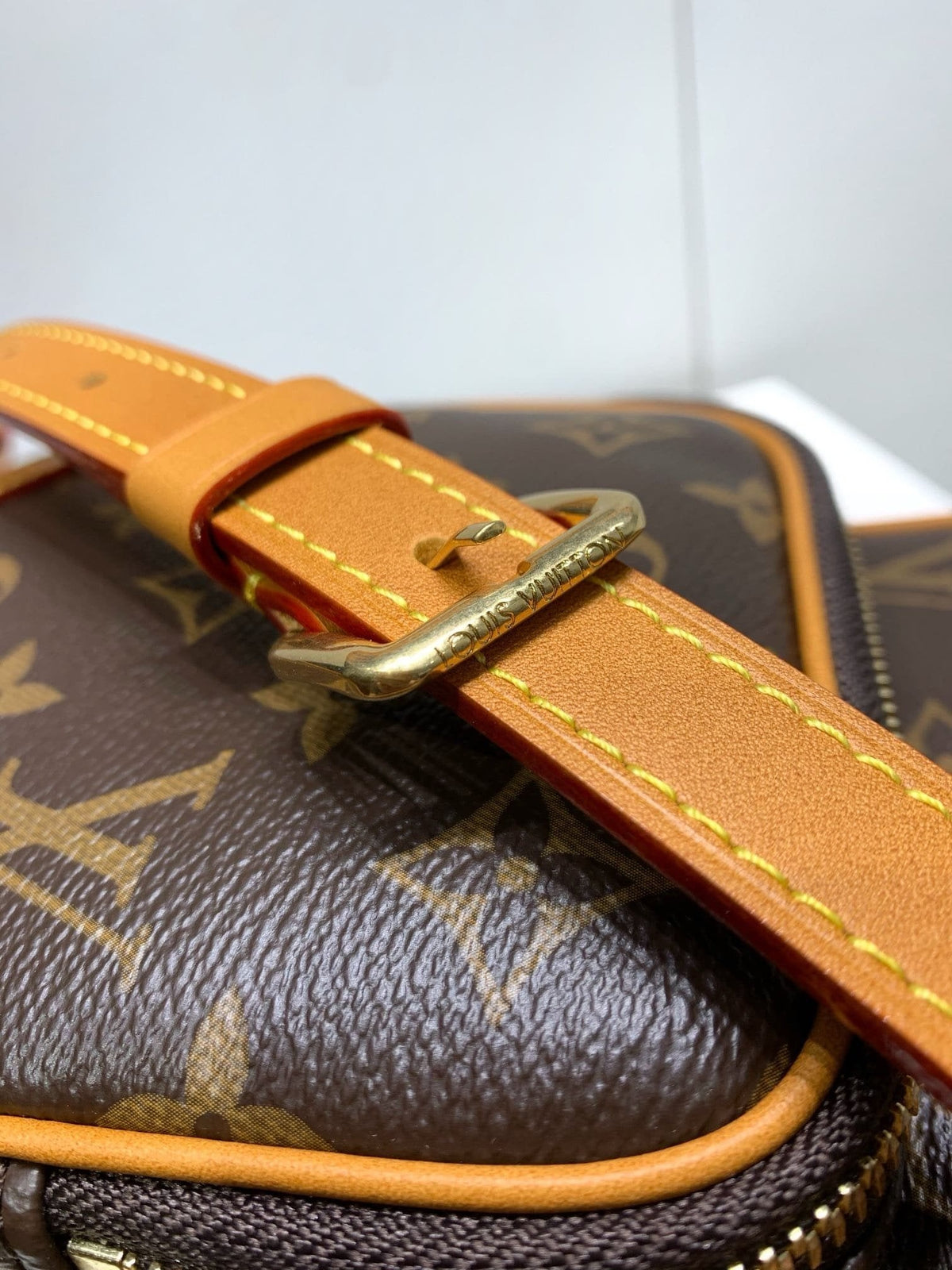 Louis Vuitton M14014 Amazone