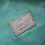 Gucci Ophidia small belt bag