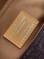 Louis Vuitton M11535 Soul Trunk